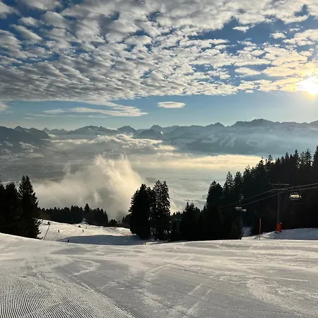 Vogelnest רטנברג